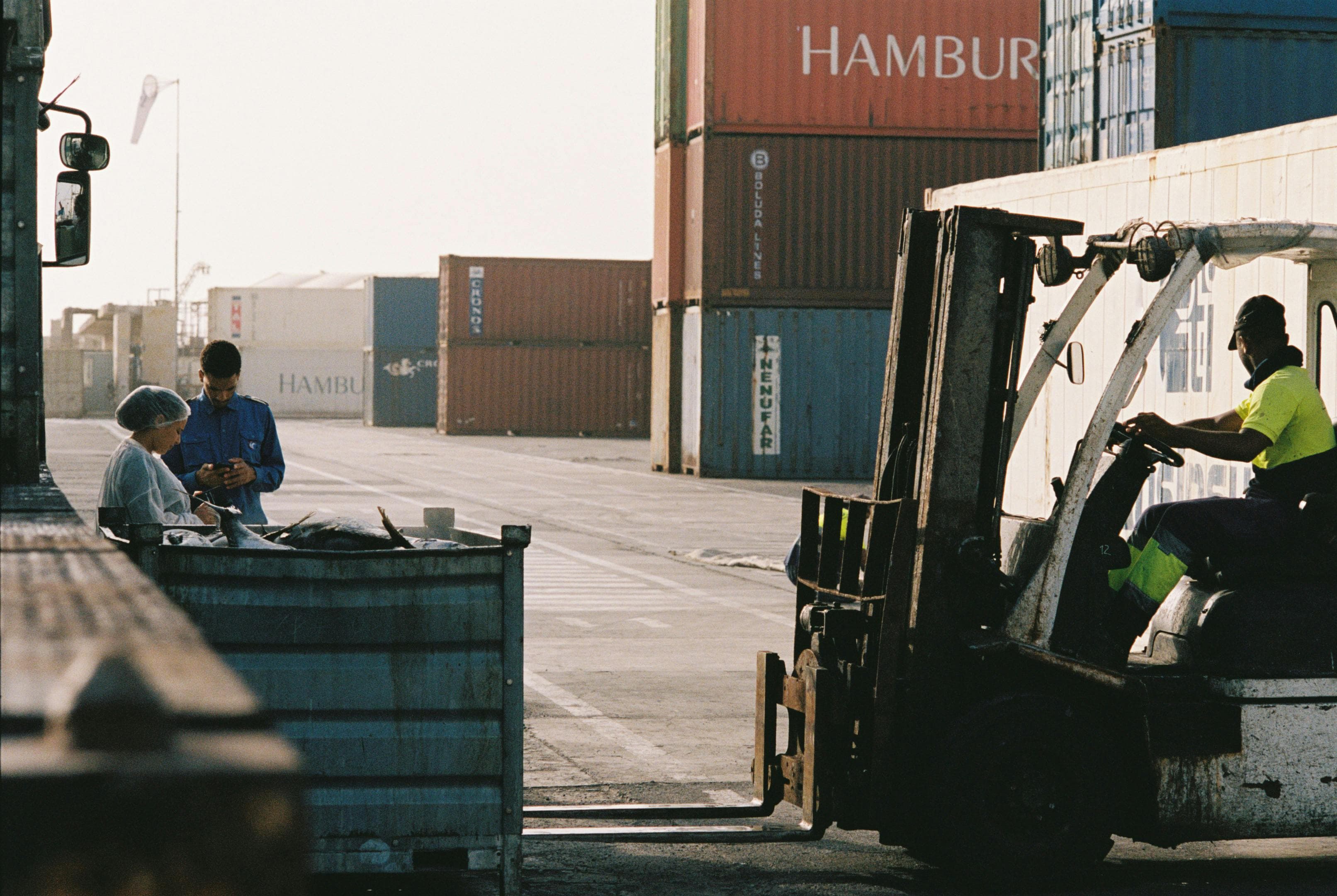 Port staff checking a consignment beside a forklift